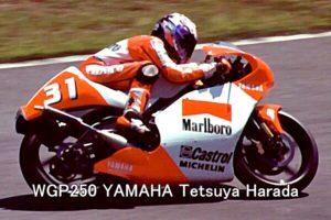 WGP250 YAMAHA Tetsuya Harada