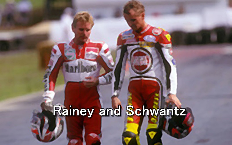 Rainey and Schwantz1993